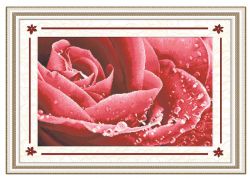 MO008 "Розы цвет" (Color Kit)